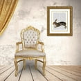 thumbnail image 3 of Fab Funky 15x18 Gold Ornate Wood Framed with Double Matting Museum Art Print Titled - Hare and Black Leaves, 3 of 4