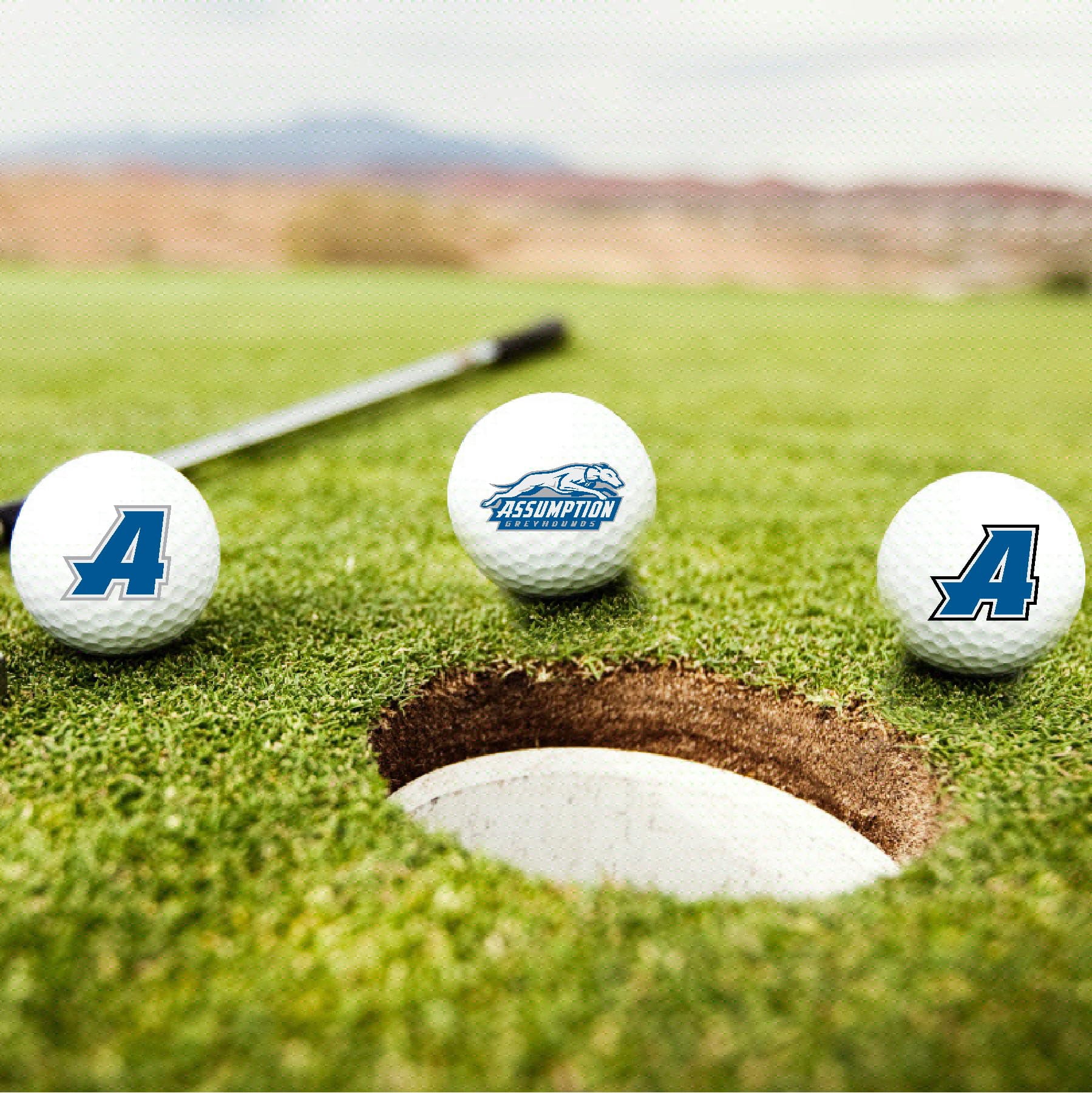 Assumption University Greyhounds Logo Edition Taylormade Distance+ Golf Balls 12-Pack (Dozen)