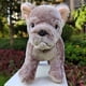 thumbnail image 5 of Peluche de peluche realista con forma de bulldog francés, 25 cm, 5 of 6