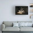 thumbnail image 2 of Trademark Fine Art Heather Bonadio LepidopterologyFramed Art Canvas Wall Art - 12x19, 2 of 5