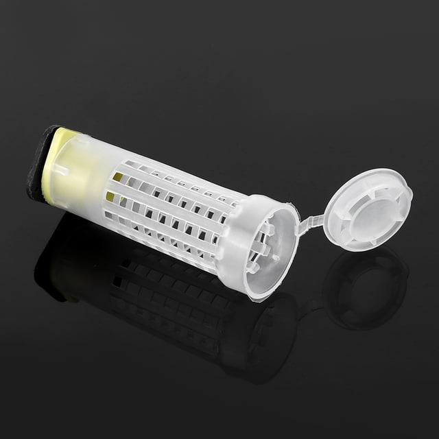 Beekeeping Protector, Queen Cage, Protector Anti-bite Bee For Rearing Cages Protectors Beekeeping
