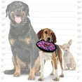 thumbnail image 6 of Tuffy Jr Odd Ball Pink Leopard, 2-Pack, Durable Dog Toys, 6 of 8