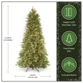 thumbnail image 5 of National Tree Company 6.5 ft Pre-Lit Tiffany Fir Slim Artificial Christmas Tree, 500 Clear Lights, 1,462 Tips, Includes Stand, Green, 5 of 9