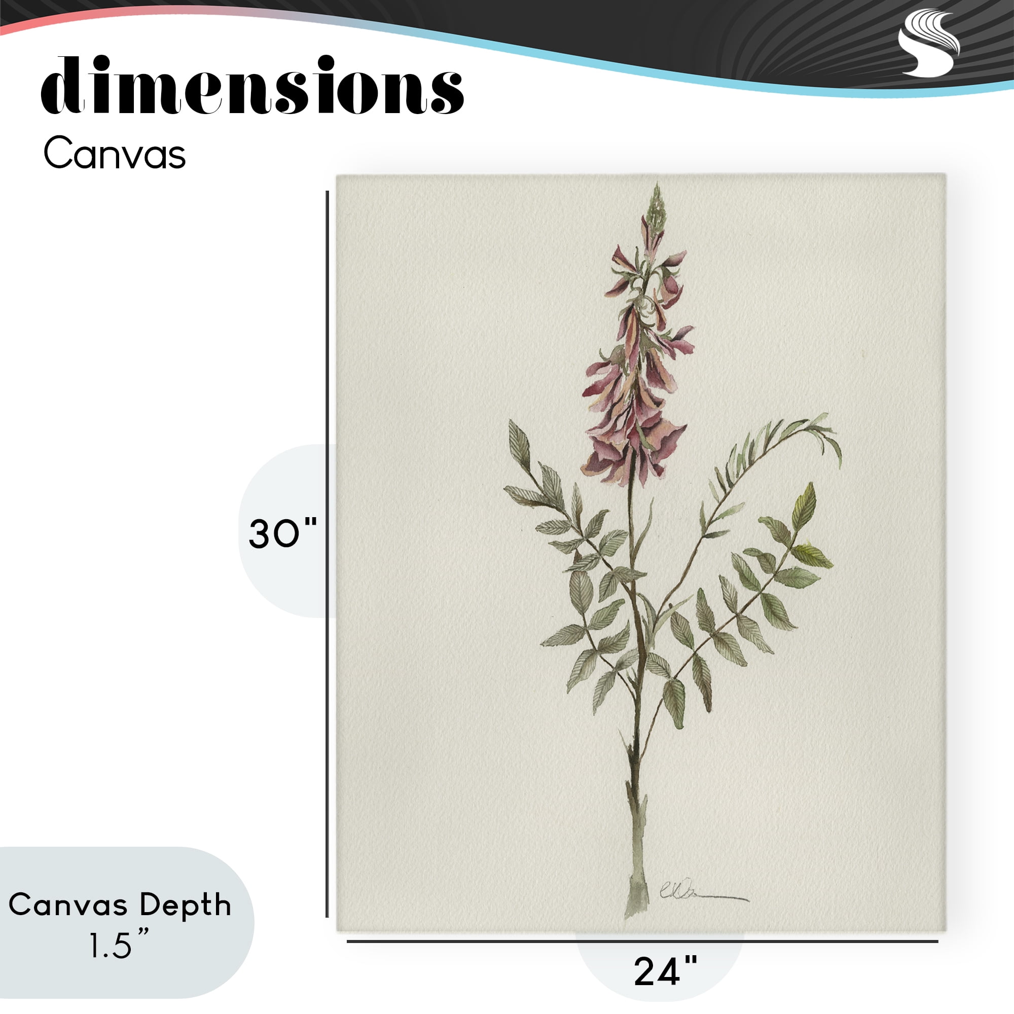 Stupell Industries Nature's Delicate Herb Sprig Canvas Wall Art, design by Cady Driver