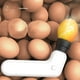 thumbnail image 4 of Inalámbrico ing LED Egg Candler Salvador Lámpara de huevo recargable para pollos codornices, 4 of 10