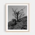 thumbnail image 2 of Silent Sentinel - Perama Greece Photography Black and White Desert Nature Minimalist Landscape Moody Unframed Wall Art Print 12 x 16 inches, 2 of 13