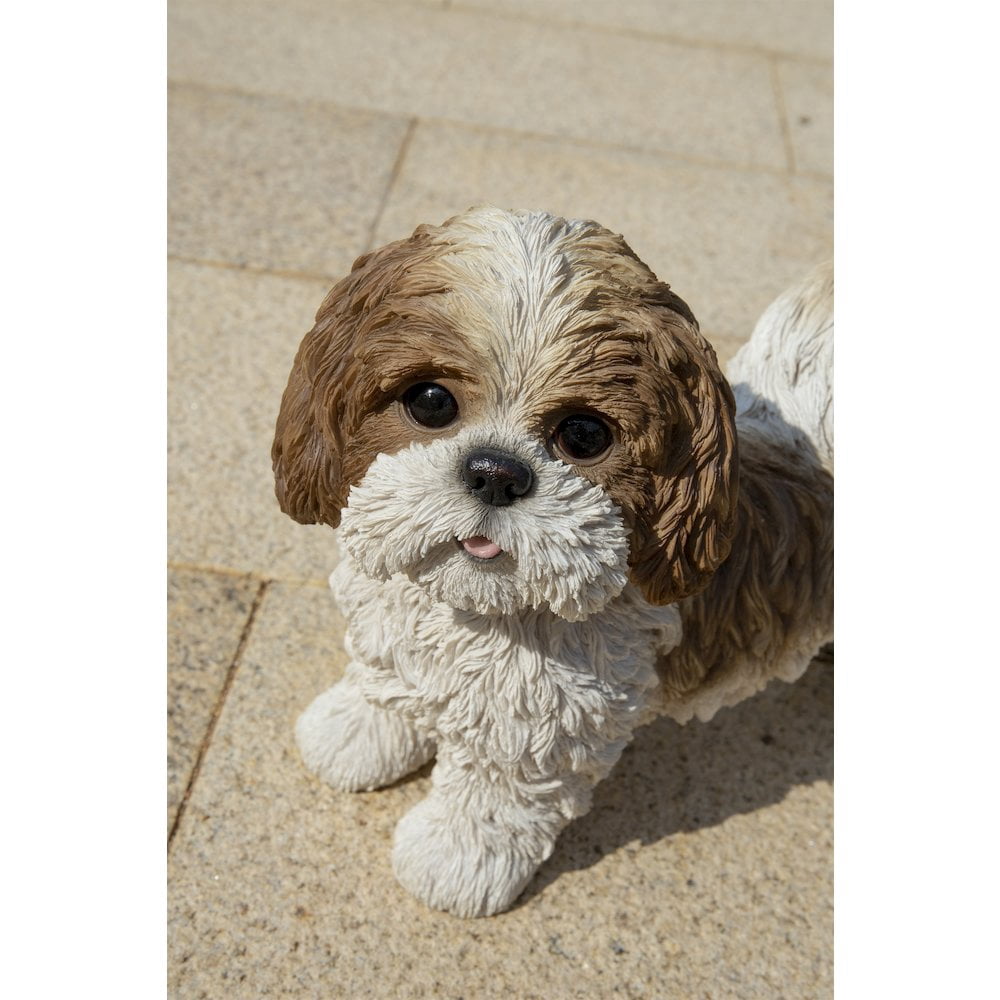 Hi-Line Gift Brown & White Standing Shih TZU