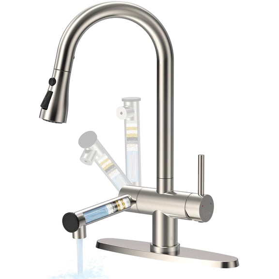 Beteliva Retractable Dual-Outlet Kitchen Faucet with Filter, 3 Spray Modes, Silver Finish