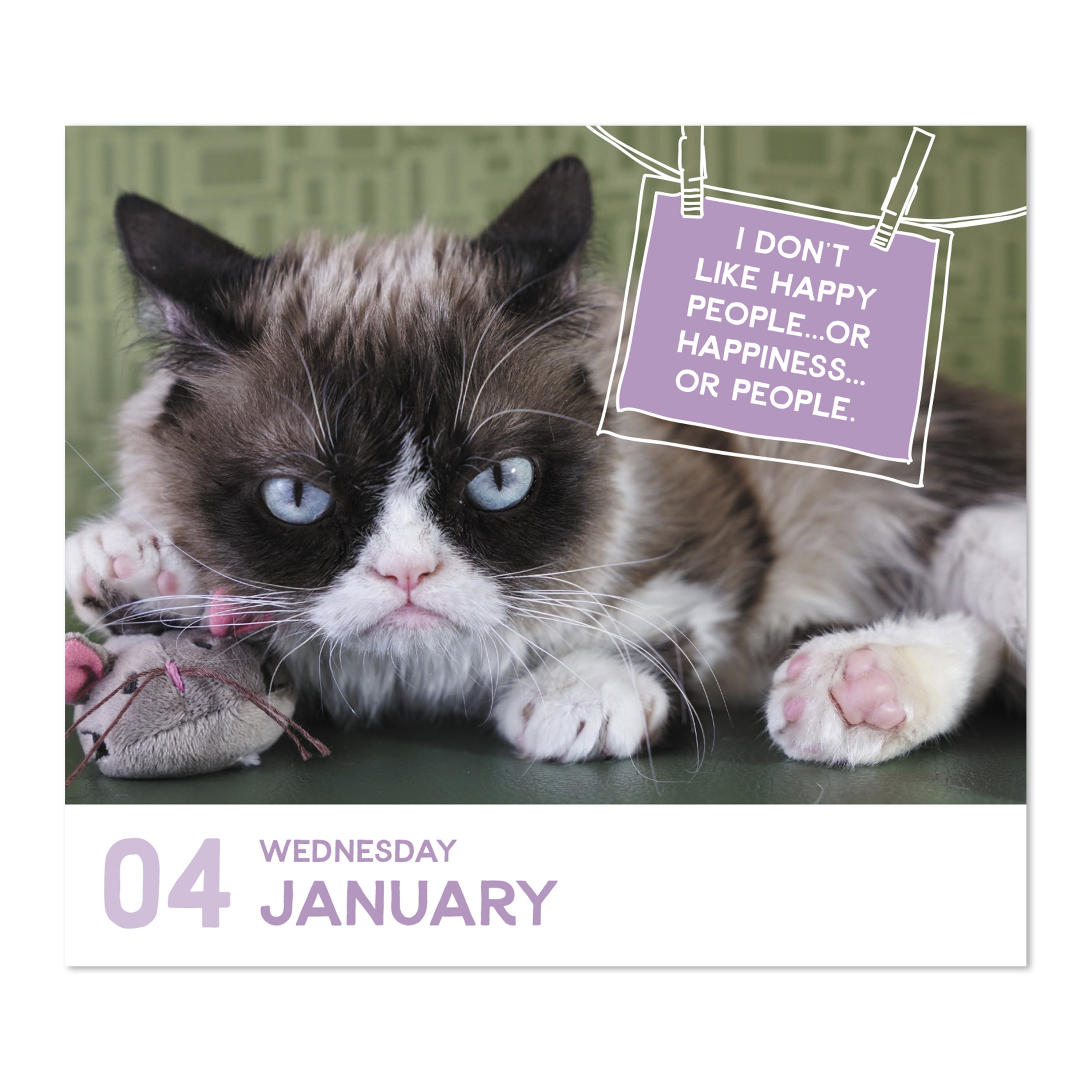 2023 Year In A Box Calendar, Grumpy Cat, 4 3/8" x 5" by Mead (WMB24700-23)
