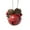 #333 RD, variant on Stijggn Christmas Decorations Bells Christmas Decorations Vintage Gold Bell Ornaments Hanging Wind Chimes Decorations for Christmas Tree, Wreath, Door & Party Supplies