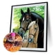 thumbnail image 4 of 5D Taladro Caballos Bordado DIY Costura Del, 4 of 9