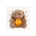thumbnail image 4 of Juguete De Peluche Con Música Y Luces, Regalo Para Niños café, 4 of 4
