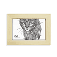 thumbnail image 1 of Cat la pintura tranquilo bebe Escritorio de madera Arte Pintura 5x7 pulgadas marco de foto foto, 1 of 4