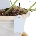thumbnail image 5 of Etiquetas Plantas Jardín 100 Piezas PVC Las Macetas Plántulas () Blanco, 5 of 5