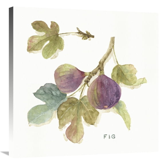 Global Gallery's 'Orchard Bloom III' By Lisa Audit Stretched Canvas Wall Art