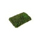 thumbnail image 6 of Efavormart 50g/Bag Green Preserved Natural Reindeer Moss Wedding Decoration Birthday Party Arrangement, 6 of 10
