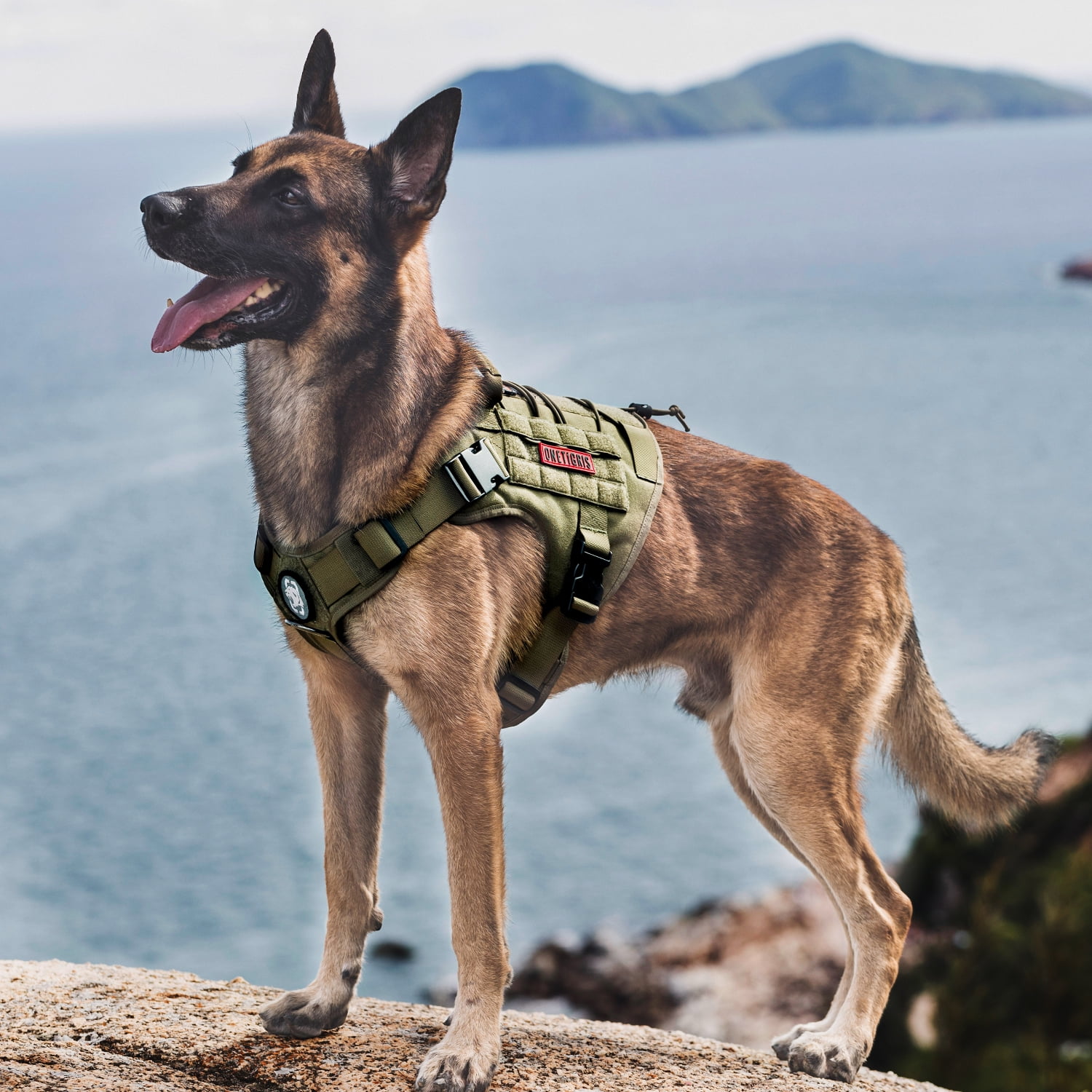 OneTigris Tactical Dog Harness,Puppy Harness with Handle, Military Vest for  Small Dogs Outdoor Easy Control Training Walking