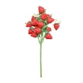 thumbnail image 1 of Fresa artificial realista para decoración del hogar y la cocina, arreglos florales, adornos de jardín, accesorios para fotografía de alimentos, 28 cm (11 pulgadas), plástico para jarrón, centro de, 1 of 6