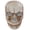 B, variant on Realistic Skeleton Mask with Moving Jaw,Scary Skull Mask for Halloween Christmas Role-Play Party