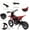 Red, variant on Historyli Ride On Electric Motorcycle-24V 250W Motor 13.6MPH Fast Speed Dirt Bike-Leather Seat Battery Powered Off-Road Bike,Twist Grip Throttle,Metal Suspension,Air-Filled Tires-Green