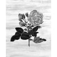 thumbnail image 2 of Kimberly, Allen 15x18 Gold Ornate Wood Framed with Double Matting Museum Art Print Titled - Botanical Flower 1, 2 of 4