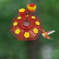 2025 New Feeder in Clearance Hummingbird Feeders for Outdoors Hanging