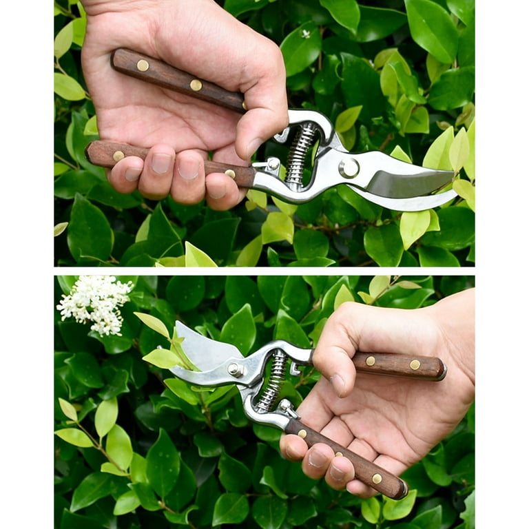 Garden Tools High Quality Portable Handheld Professional Pruning Shears  Wood Handle Pruner - China Gardening Hand Pruner and Tree Hand Pruner price