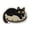 Multicolor-C, variant on Cute Bath Mat Kawaii Kitty Cat Dog Rug,Irregular Shaped Cute Bath Mat,Water Absorption Non-Slip Soft Imitation Floor Mat,Cozy Cold Isolating Foot Mat for Bedroom Bathroom Entrance Toilet Floor Decor