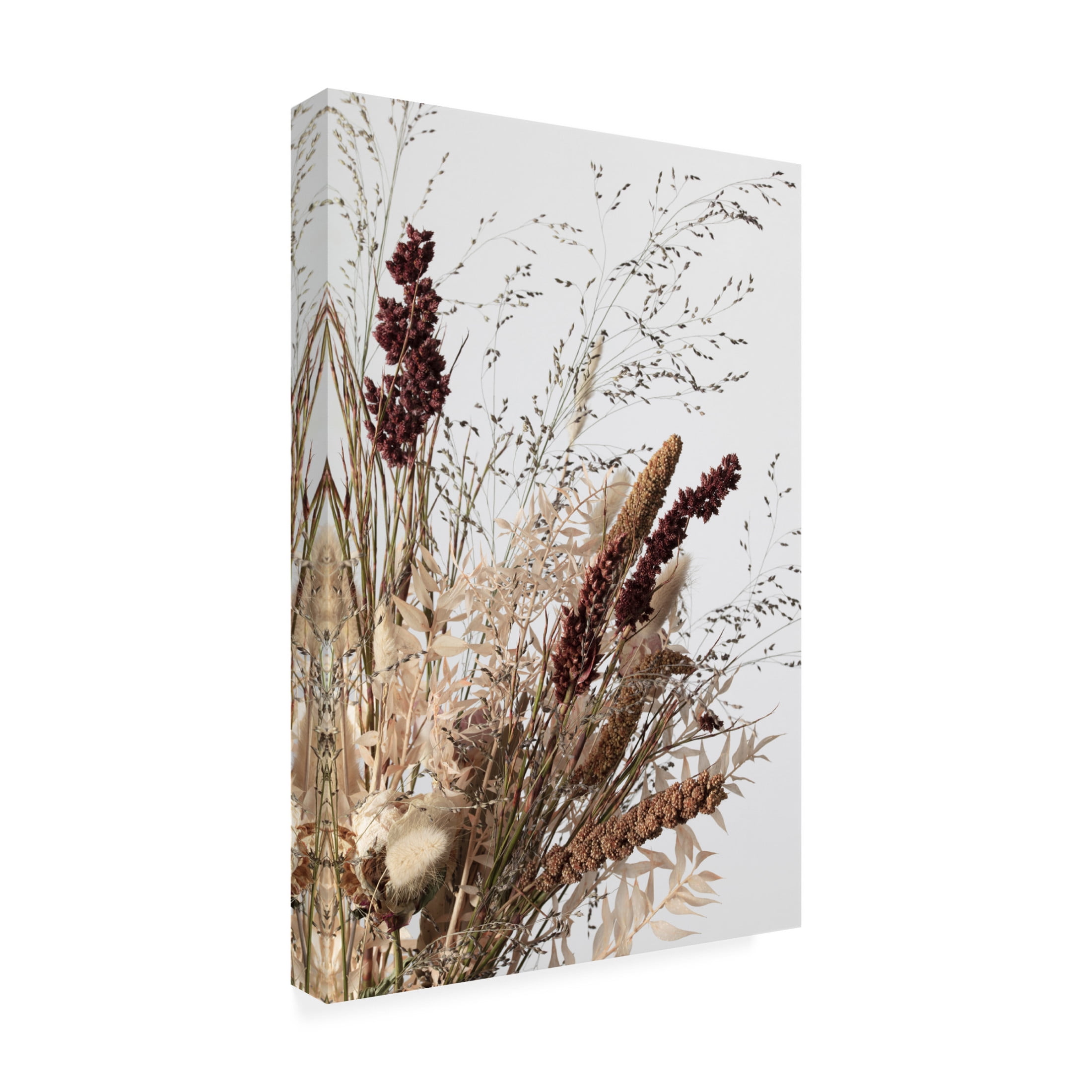 Pictufy Studio III 'Dried 1' Canvas Art - 30 x 47 Inches