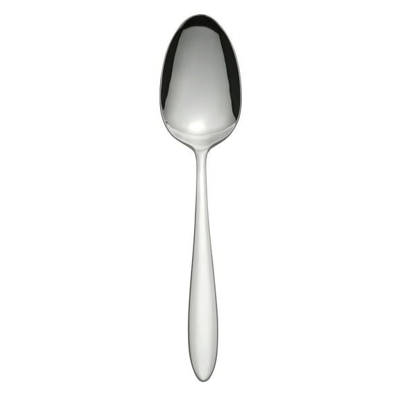 Stainless Steel Serving Spoons