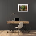 thumbnail image 3 of Haeckel, Ernst 14x11 White Modern Wood Framed Museum Art Print Titled - Riesenbambus von Ceylon Fahrt auf dem Schwarzen Fluss Kalu Ganga, 3 of 4