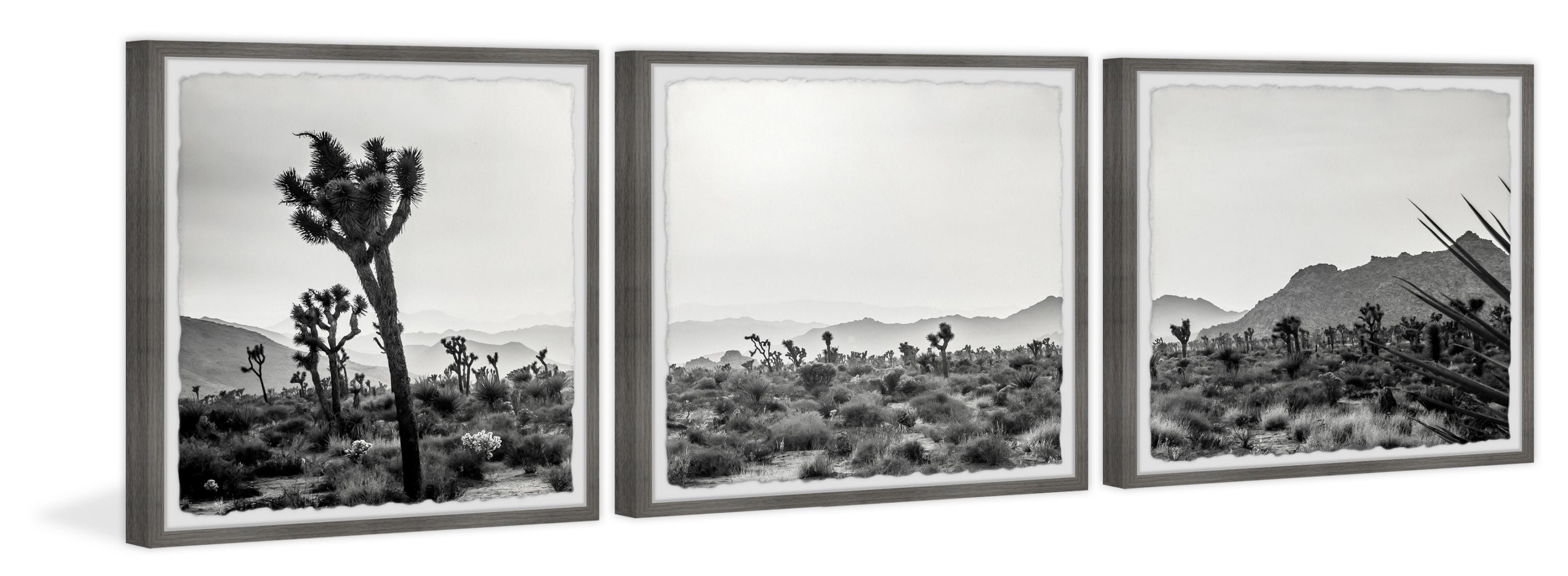 Marmont Hill Wanderlust and Desert Dust Triptych, 18" x 54"