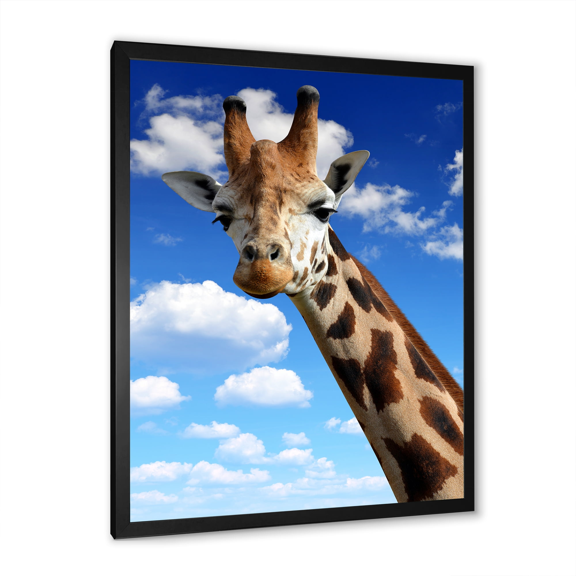 Designart 'A Giraffe On A Blue Sky Portrait' Farmhouse Framed Art Print
