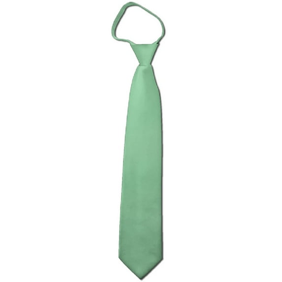 NYFASHION101 Men's Solid Color Formal Zipper Tie, Light Sage Green, 17"