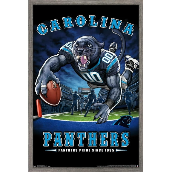 NFL Carolina Panthers - End Zone 17 Wall Poster, 14.725" x 22.375", Framed