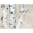 thumbnail image 2 of Cusson, Marie Elaine 32x25 Black Ornate Wood Framed with Double Matting Museum Art Print Titled - Birch Tree Close Up Neutral, 2 of 4