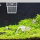 thumbnail image 4 of Moluckfu 4Ud Plantadores Transparentes Para Acuario Con Soporte Colgante Para Acuáticas, 4 of 8