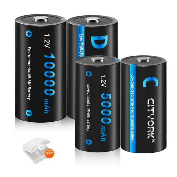 2 Pack C Cell Rechargeable Batteries 5000mAh and 2 Pack D Cell Rechargeable Batteries 10000mAh 1.2V Ni-Mh with A Battery Case