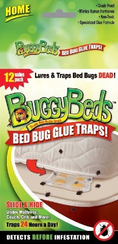 bed bugs prevention