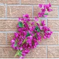 thumbnail image 5 of 10 pcs Silk Bougainvillea Fake bougainvillea spectabilis more Flower heads for Wedding Centerpieces Home Party Artificial Decorative Flower, 5 of 9