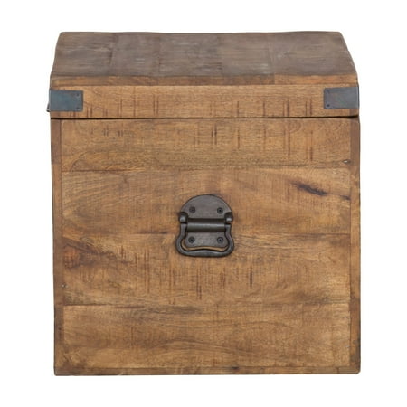 Kosas Home Livingston 18 in. Square Trunk
