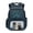 Cartoon Cat Blue, variant on FKELYI Kids Backpack 17 Inch Spacious Schoolbag with Multi-Pockets for Elementary Student Pink Strawberry Capybara Print School Bookbag Casual Daypack for Girls Knapsack