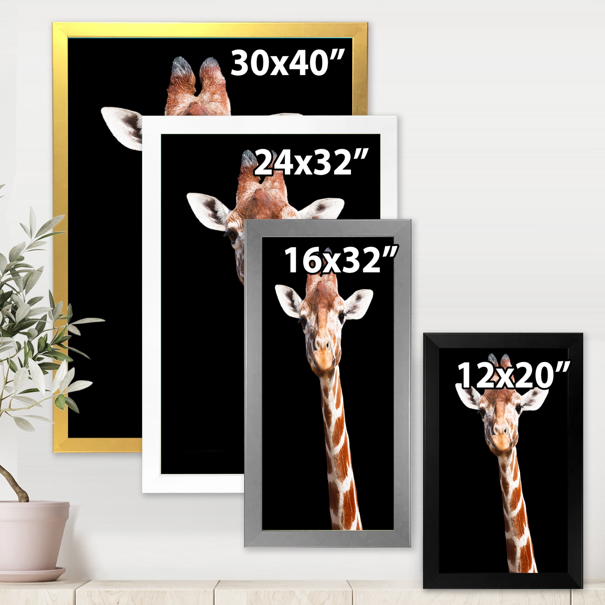 Designart 'Close Up Portrait Of A Giraffe On Black V' Farmhouse Framed Art Print