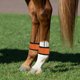 thumbnail image 4 of unbranded 4Ud Bandas Reflectantes LED Para Patas De Caballo De Equitación Para, 4 of 6