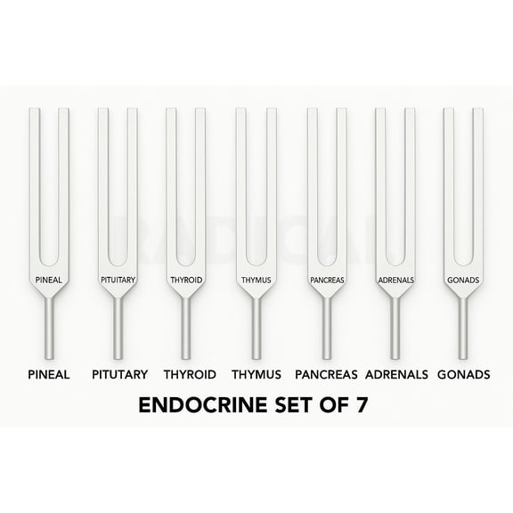 Radical Endocrine & Spine Set of 7 Healing Tuning Forks w Activator   Pouch