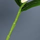 thumbnail image 4 of Lirios 3D Flor de Simulación 38 Cm Arreglo Floral Decoración Artesanal para el Hogar Ramo de Fiesta de Boda Oficina Ramo de Flores Artificiales Flores Falsas Anggrek Otros, 4 of 8