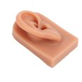 thumbnail image 1 of Soft Silicone Ear Model, Reused Ear Displays Mould Soft Professional Ear Piercing Tool  3D Acupuncture Silicone for Piercing Practice Earring Display, Acupuncture, Display Model, 1 of 7