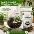 thumbnail image 5 of Creations by Nathalie Succulent & Cactus Soil Blend: Terrarium Planting Mix - Fast Drainage, 5 of 6