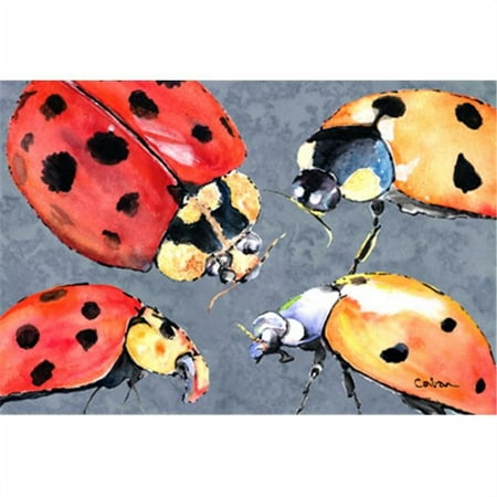 

Carolines Treasures 8876PLMT Lady Bug Multiple Fabric Placemat