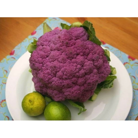 Purple Sprouting Broccoli Seeds/ Perennial/ Full Sun/ 9K Seeds 1 oz/ Zellajake Farm and Garden- B245